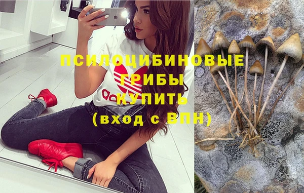 индика Абдулино