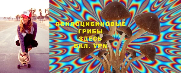 индика Абдулино