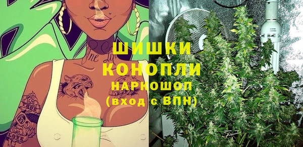 индика Абдулино