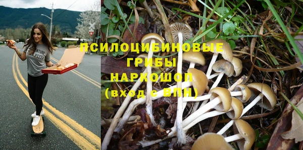 сатива Абаза