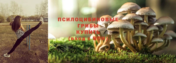 сатива Абаза