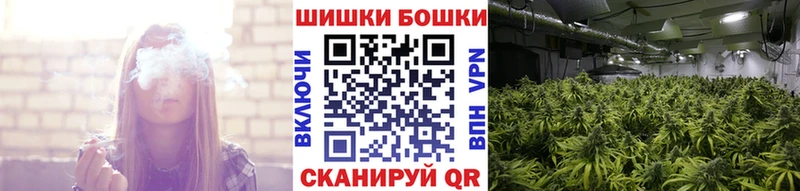 MEGA маркетплейс  Севастополь  Шишки марихуана сатива  дарнет шоп 